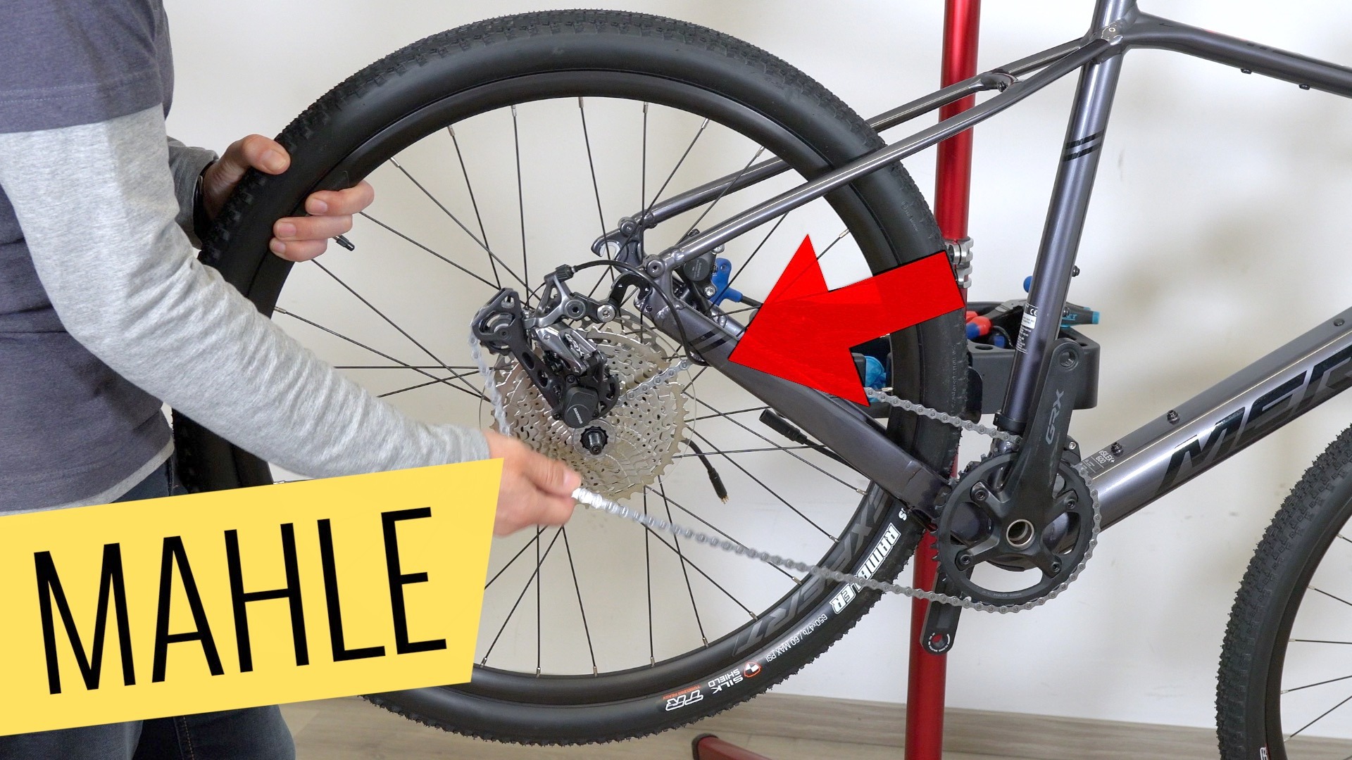 müsing fahrrad kaufen Savage E Refurbished E-Bike Das Hühnerei: Alles Wissenswerte Z505 Flavor:Blueberry-Lemon