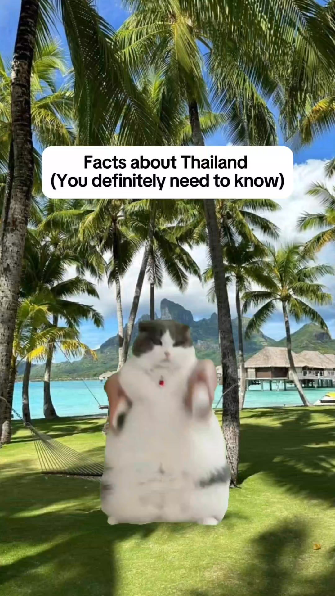Facts about Thailand, you definitely need to know #fyp #facts #original ...