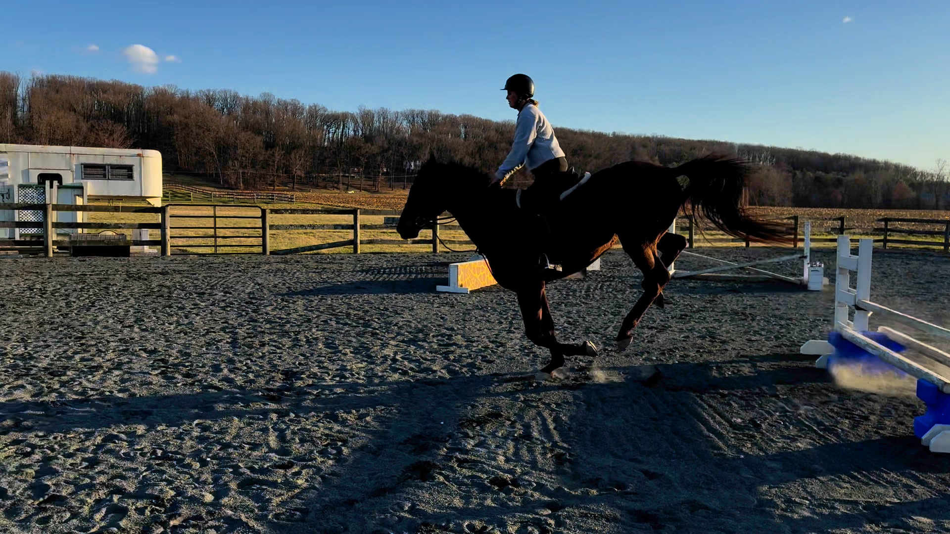 Capall Milis Stables | Glen Arm MD