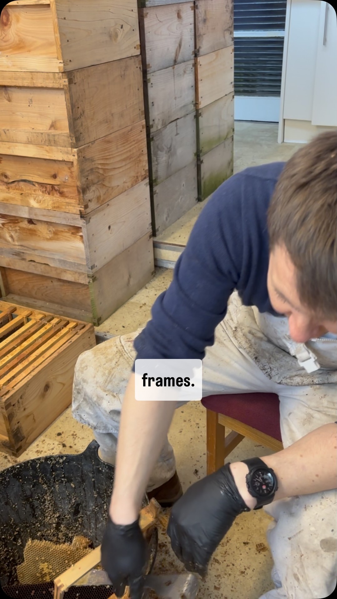 Gareth cleaning the beeswax from the bee hive. He takes the dark older ...