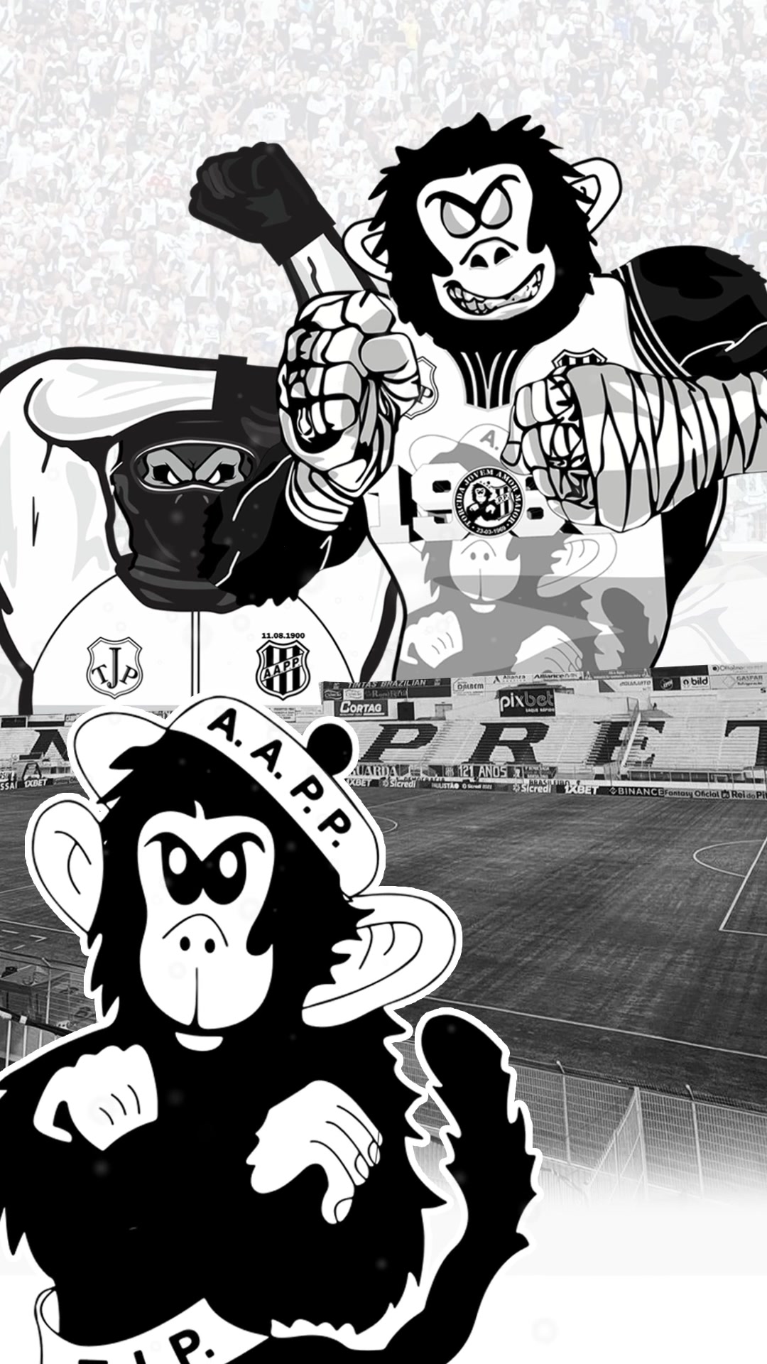 VEMPROMAJESTOSO Hoje a Macaca entra em campo pela 5ª rodada do