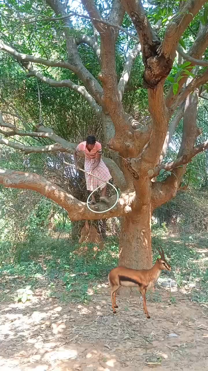 Chatching Deer 🦌#reel #reels #trending #viral #viralreels #video #tiger ...