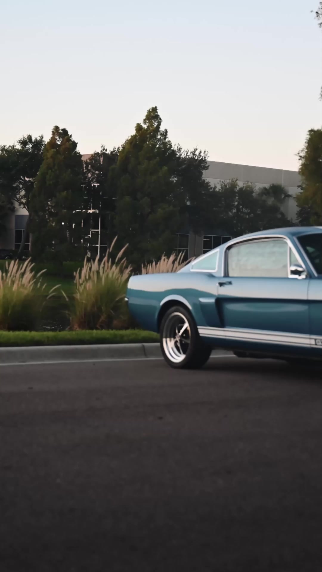 This is one of the final 1966 Revology Shelby GT350 Fastbacks we