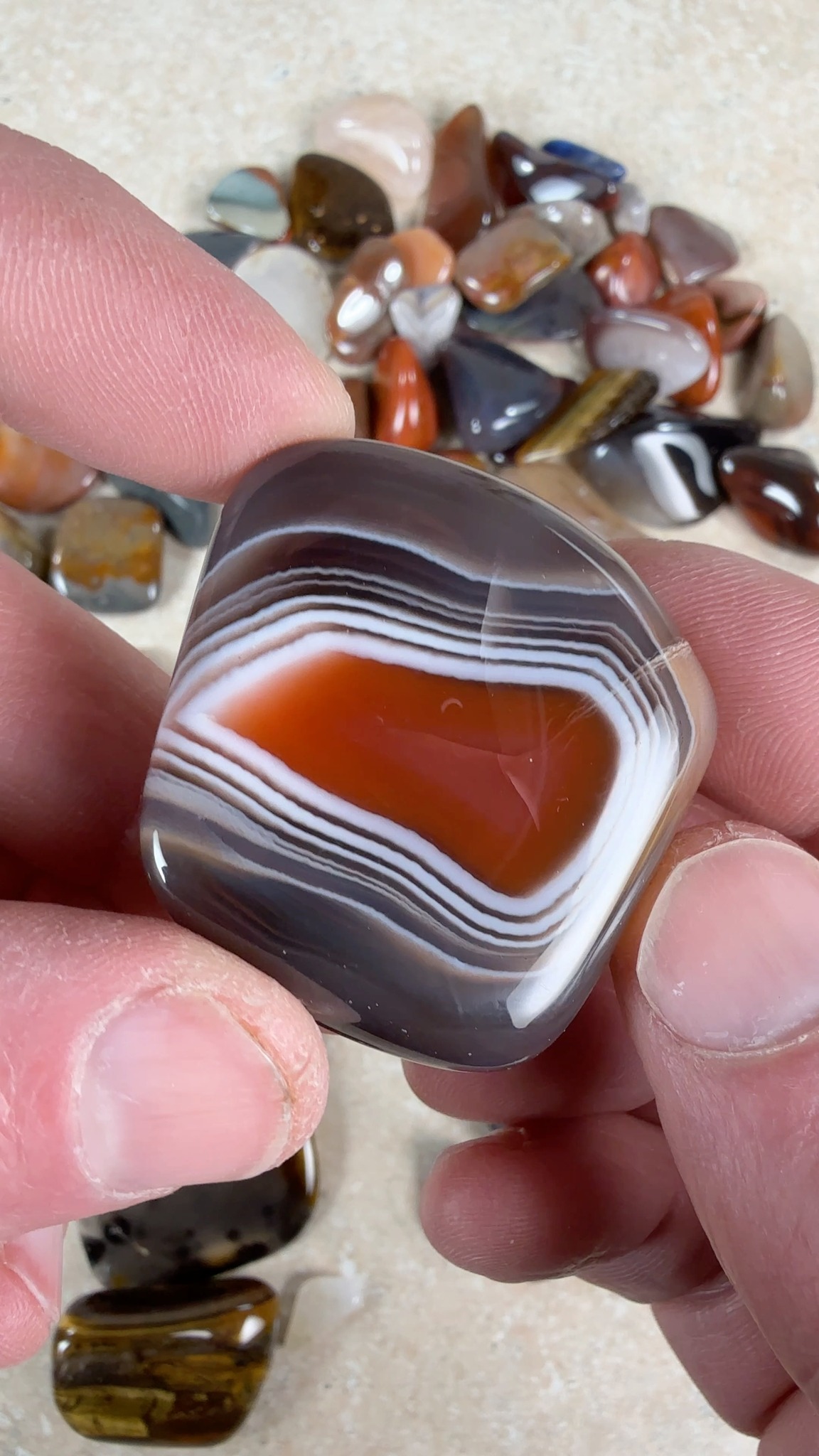 Michigan Rocks on Reels | Facebook