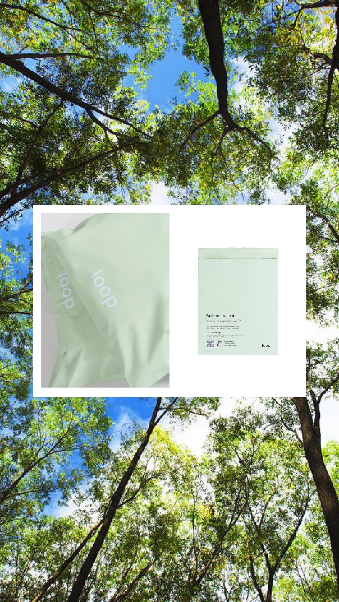 Loop Packaging