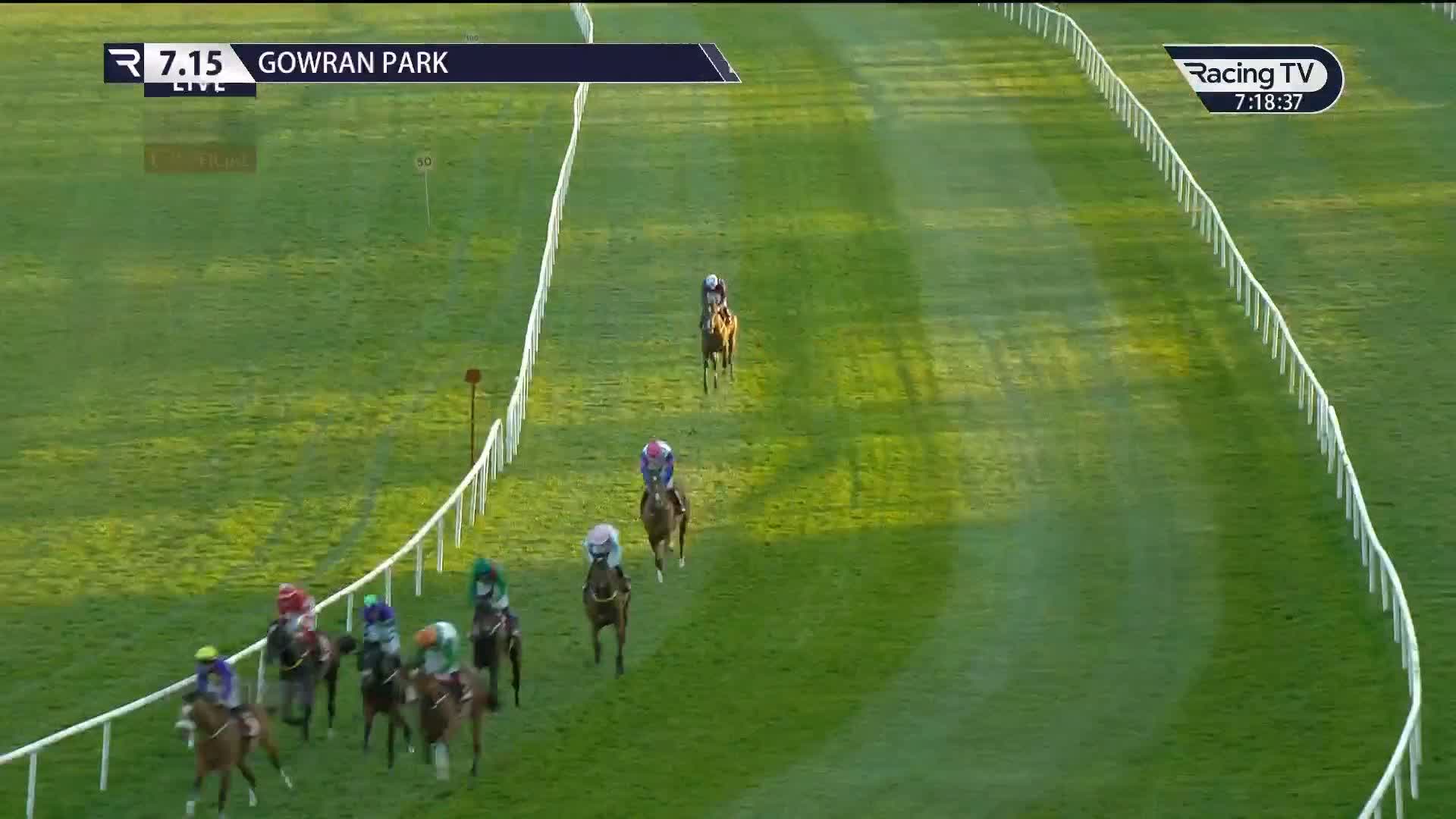 Whooosh! Falcon Eight rolls back the years in the Dine At Gowran Park ...
