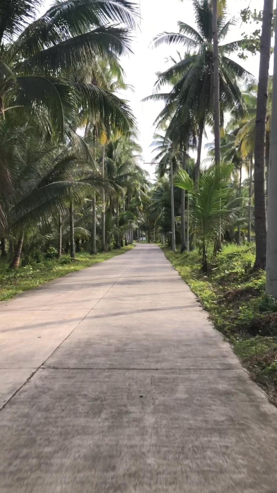 Libuton Beach Resort | Glan