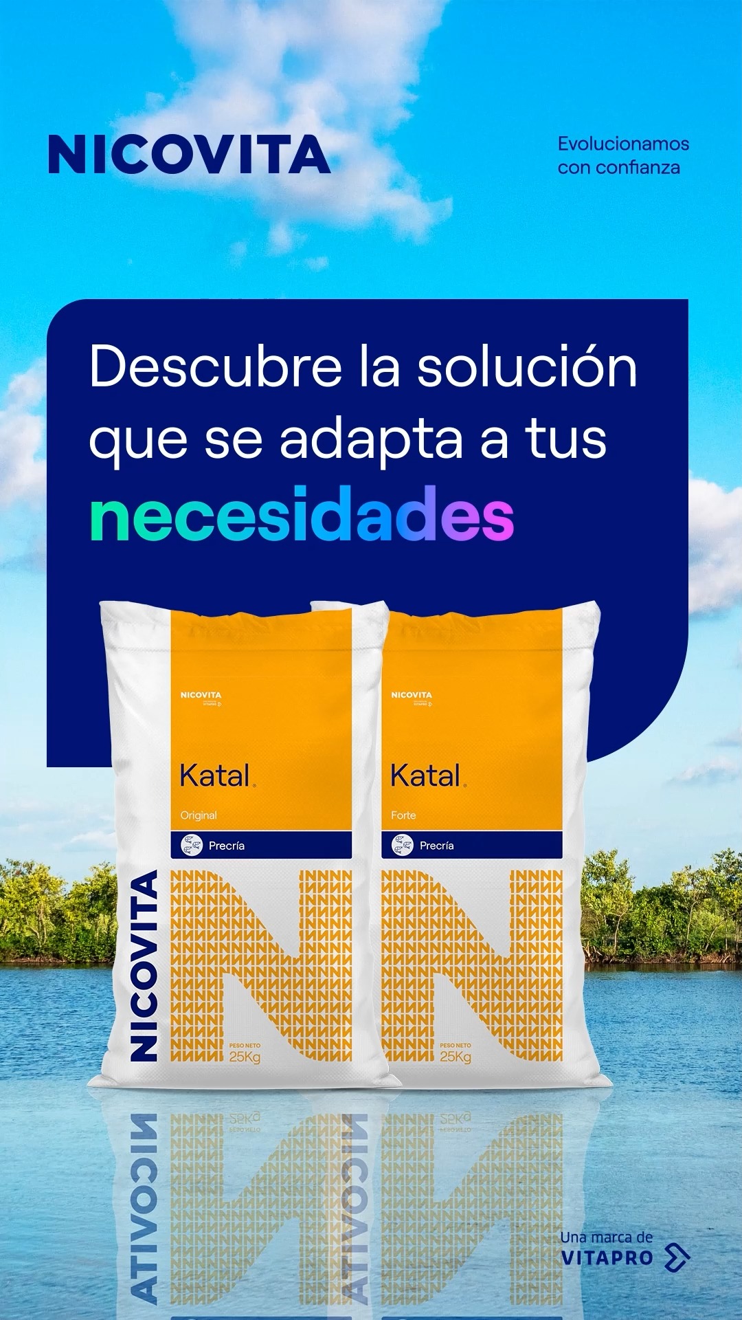 NICOVITA - Descubre cómo Katal Original y Katal Forte... | Facebook