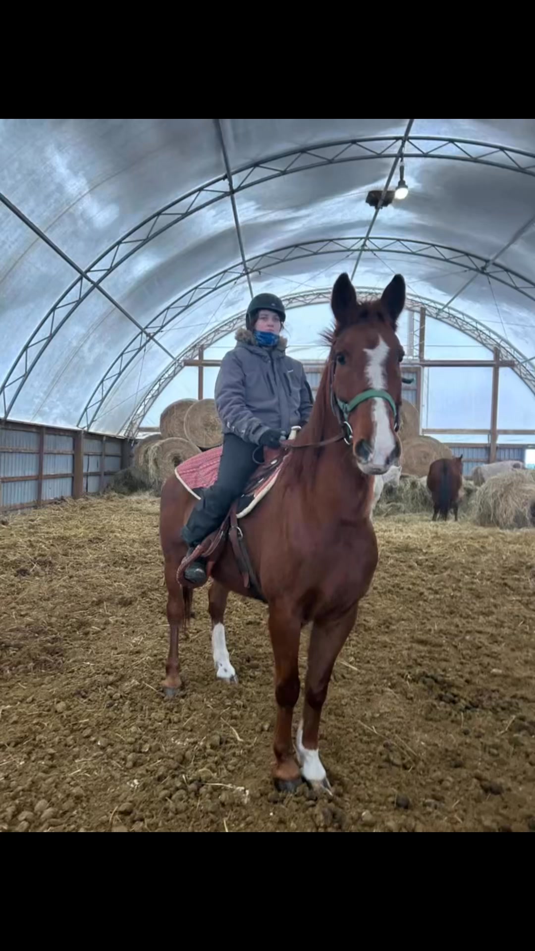 WindyRidge Stables | Shelburne ON