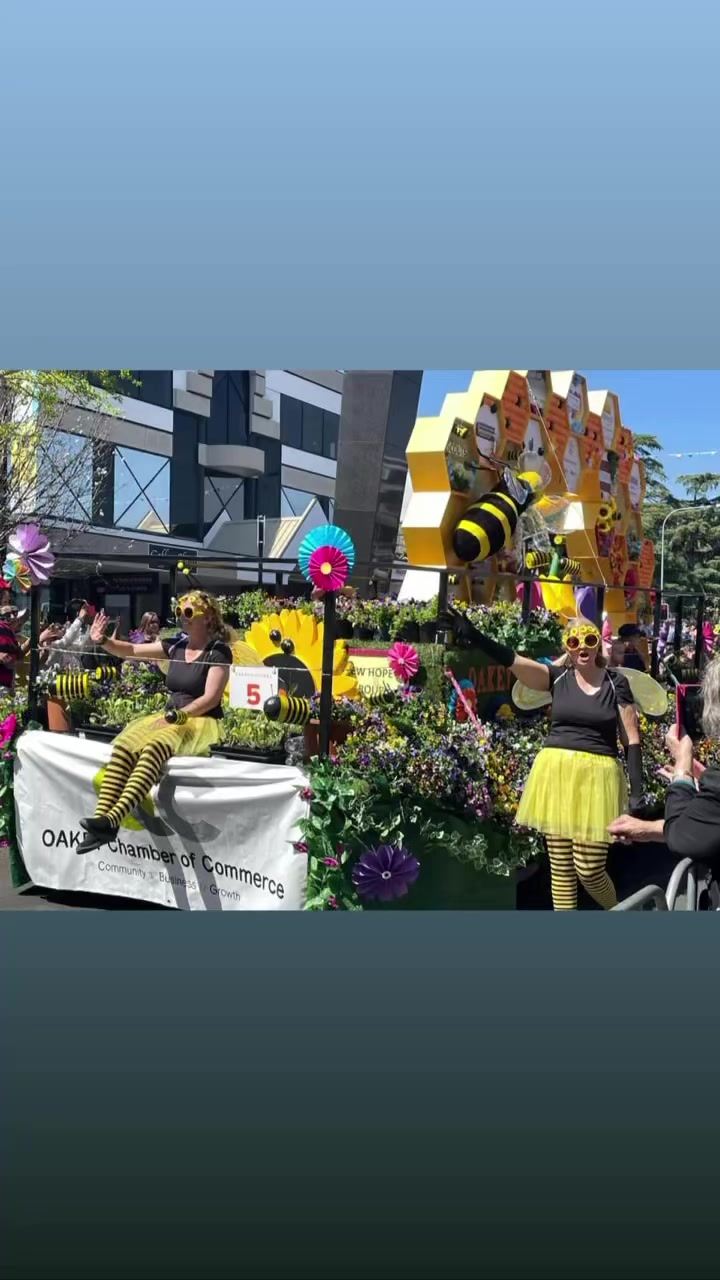 Blooming marvellous 🌺🌸🌼 The Toowoomba Carnival of Flowers Grand Floral ...