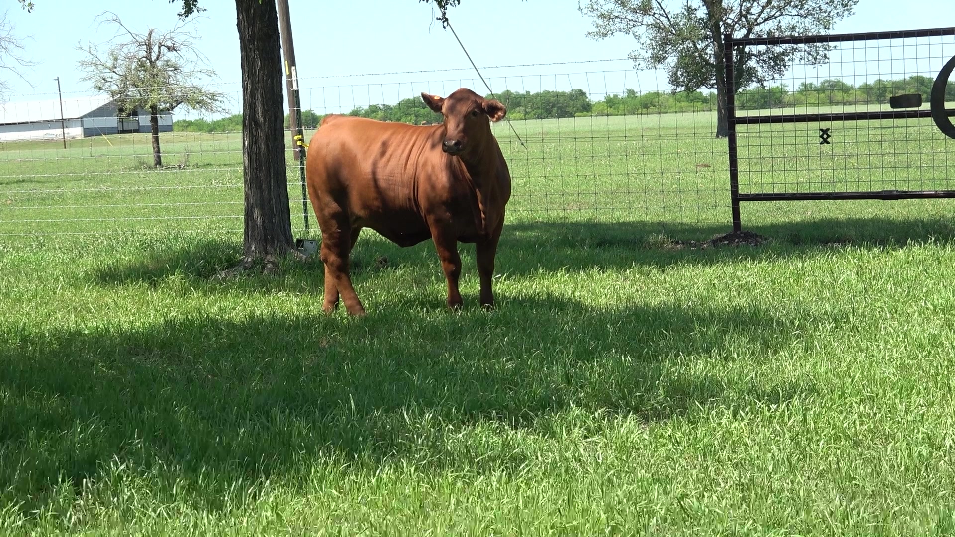 Bar G Ranch | Rogers TX