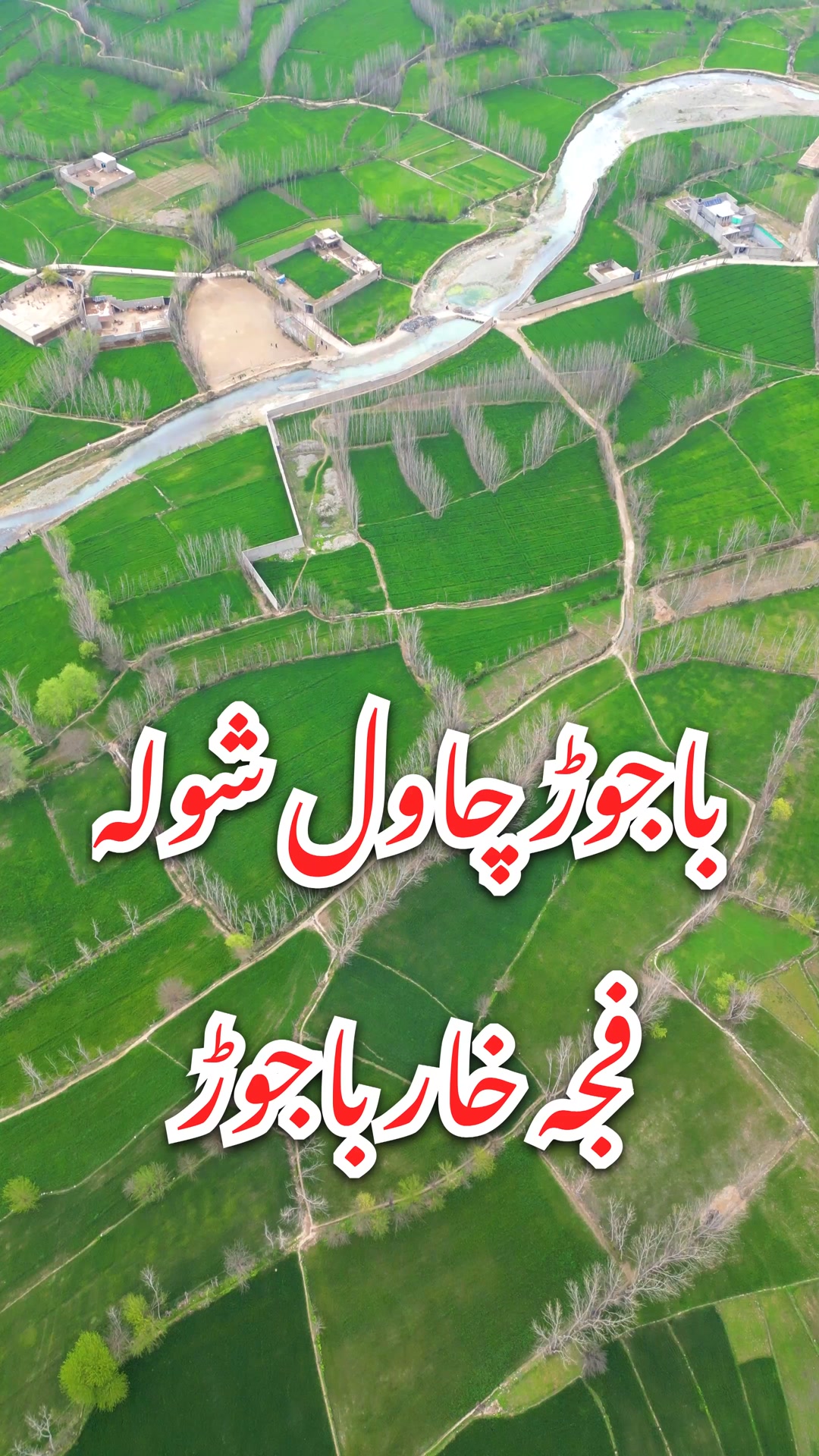 #Bajaur #pajja #khar #rice | Mamund Mediaa Call | Facebook