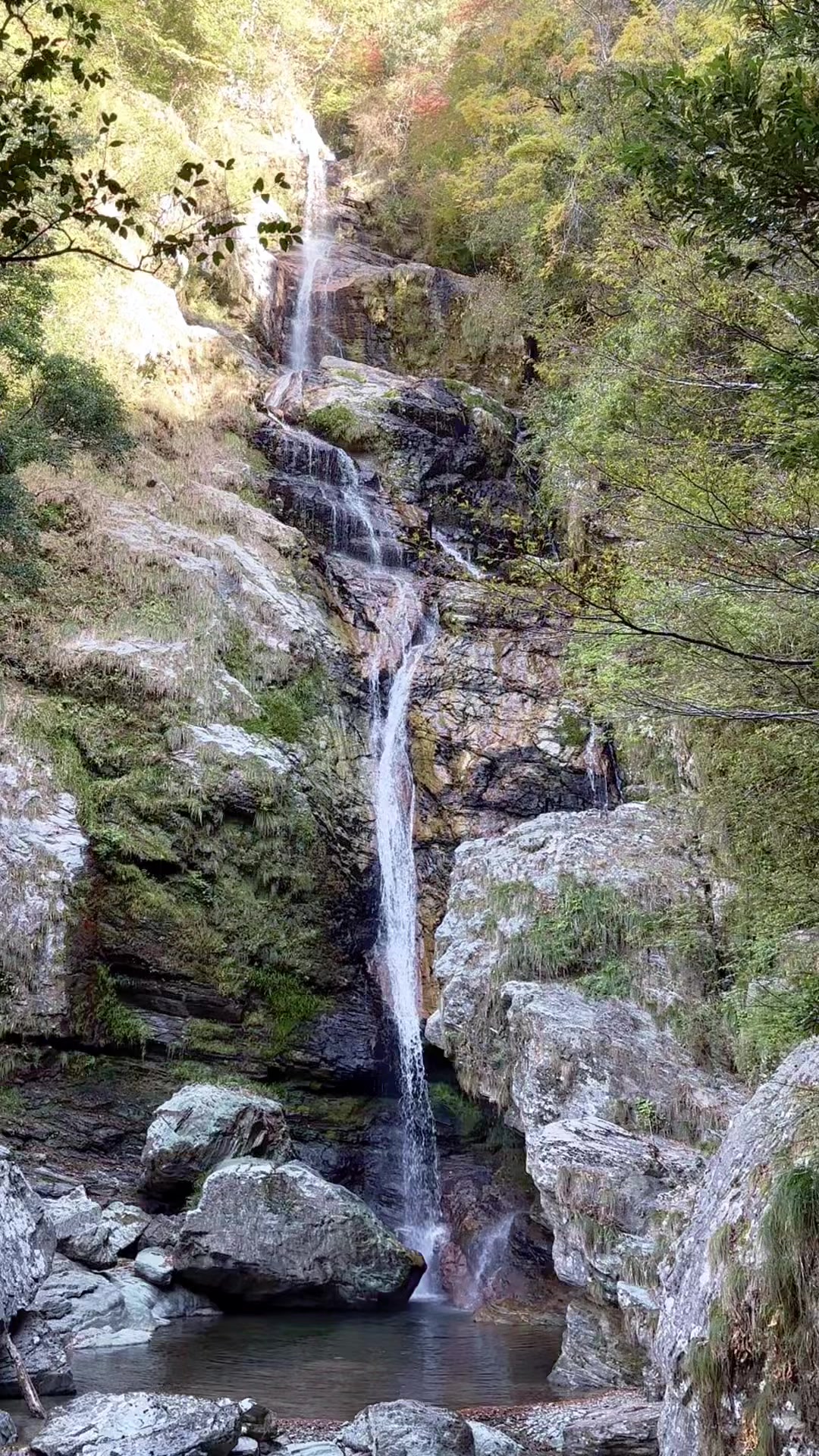 Choshi Falls: Choshi Falls, Okawa Village #Choshi Falls #銚子滝
