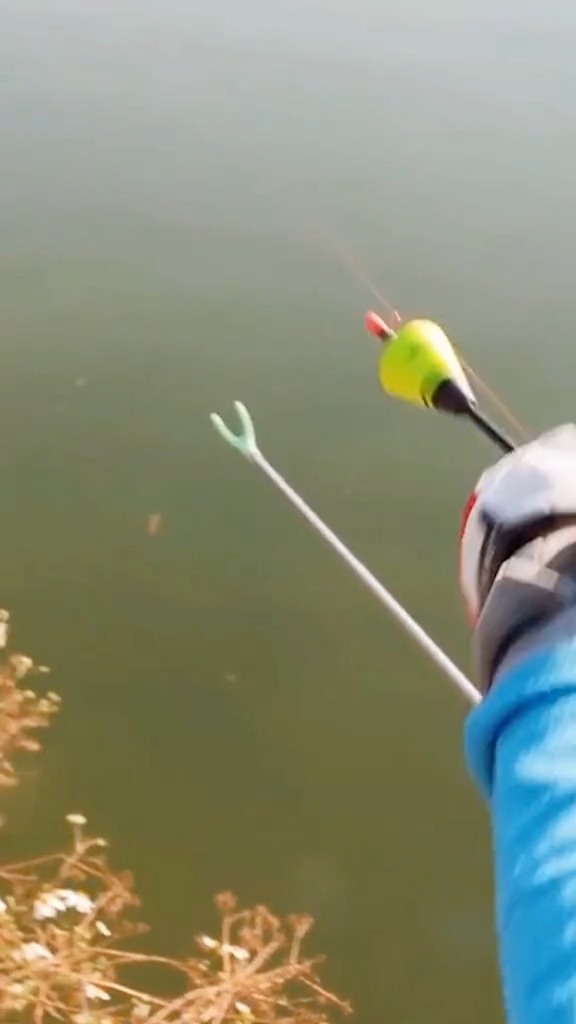 Good float for beginner #fyp #fishing #fishingfloat #fishinggears ...