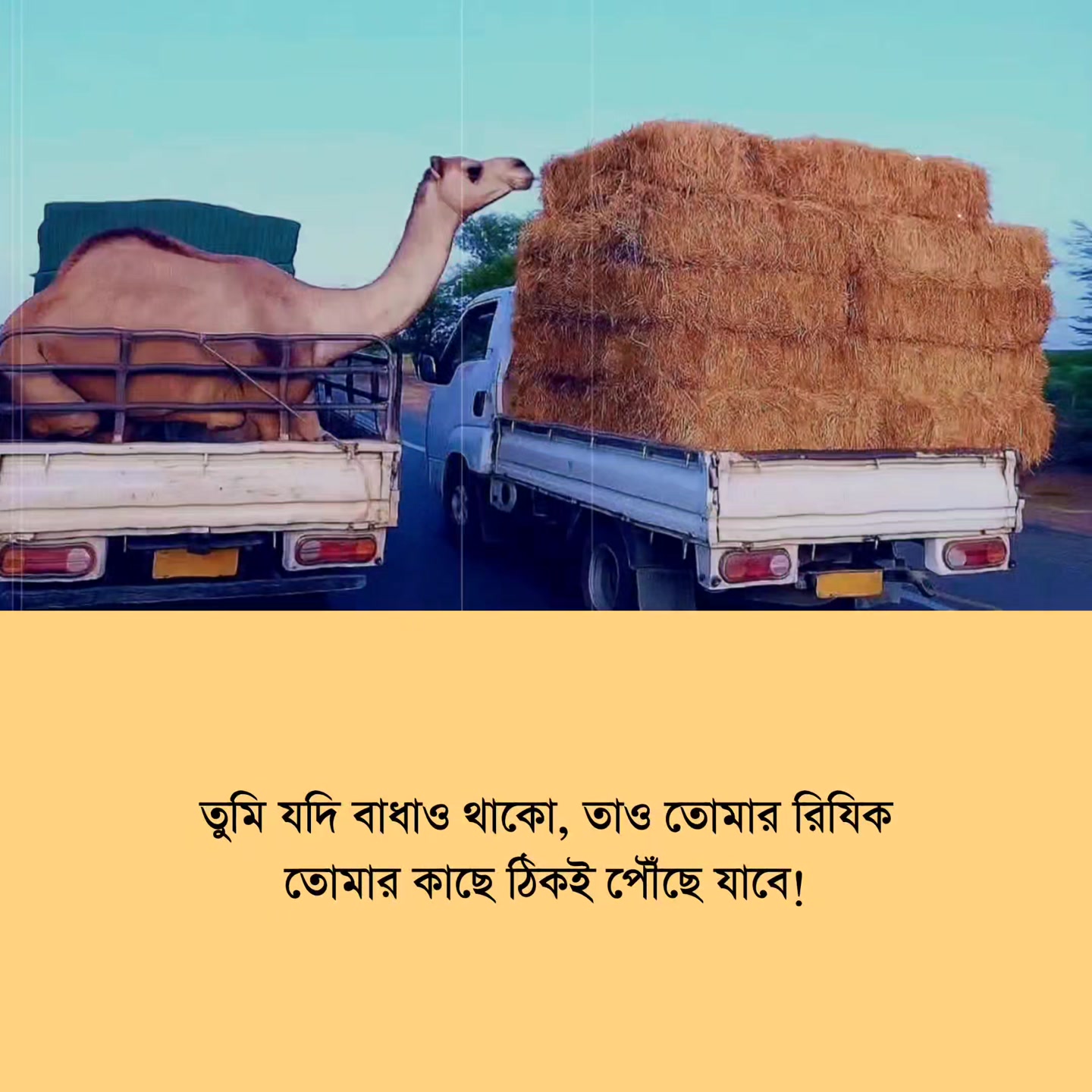 নিশ্চয়ই 