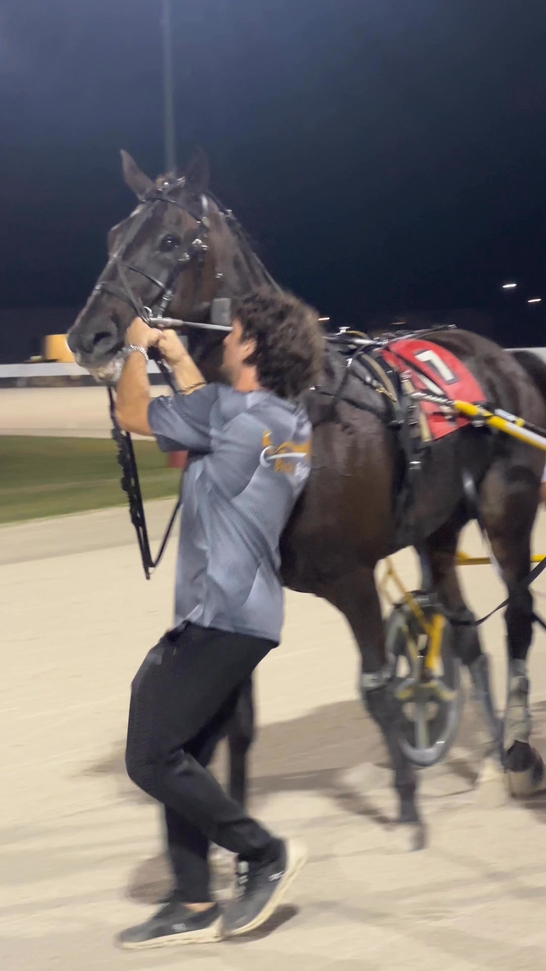 Some love to Lexus Kody as he captures the Dayton Trotting Derby. # ...