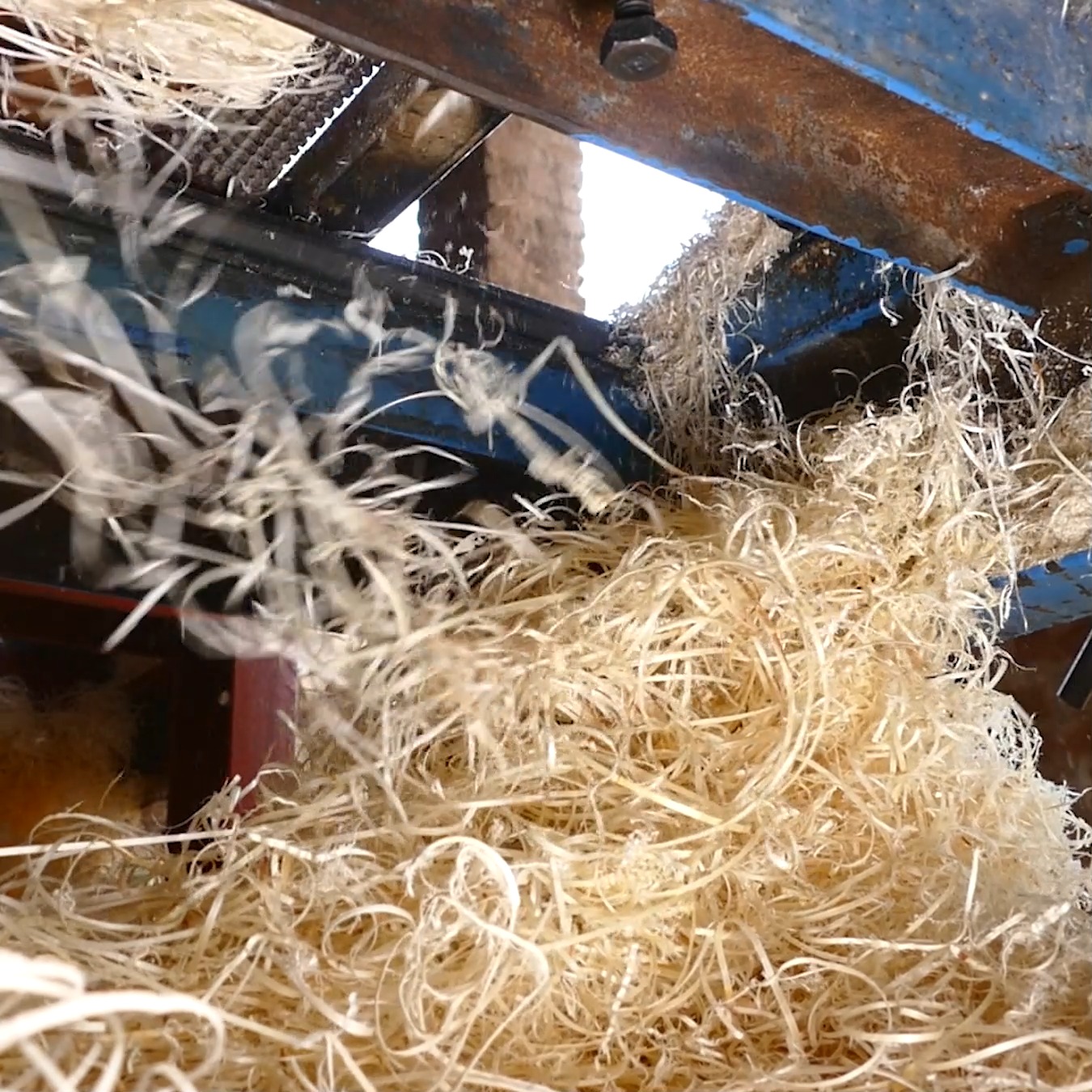 Amazing Production of Wooden Wool Making Process | Wonderful Skills ...