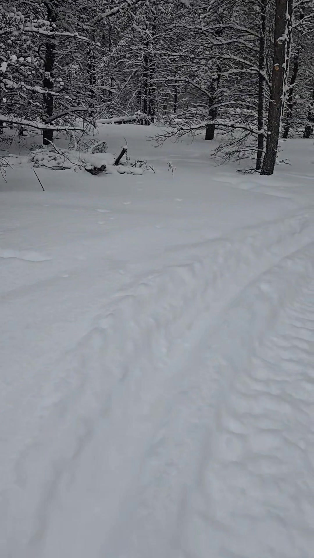 A couple of our amazing guests took these. Our current situation ...