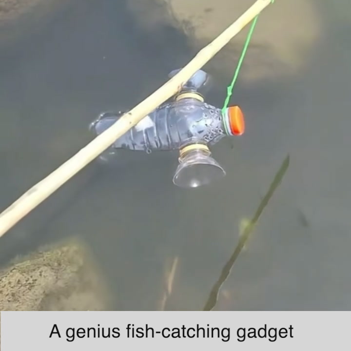 Catch of the day, DIY edition 🐟 Someone just made a genius fish ...