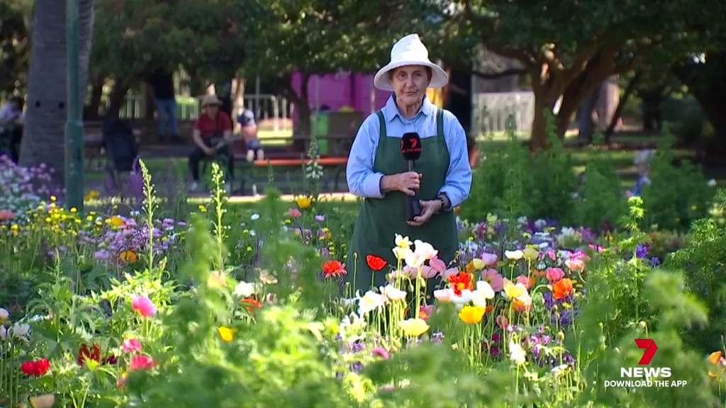 7NEWS Toowoomba - In this week's garden segment, Penny... | Facebook