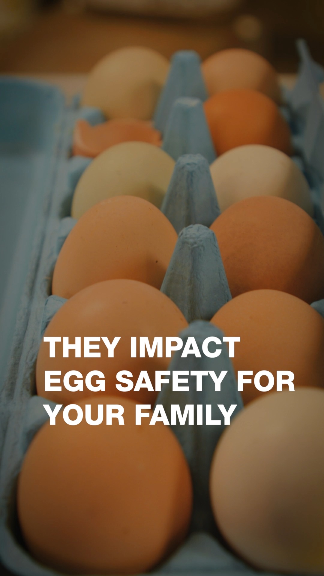 A strong shell protects what’s inside. Keep your flock healthy and ...