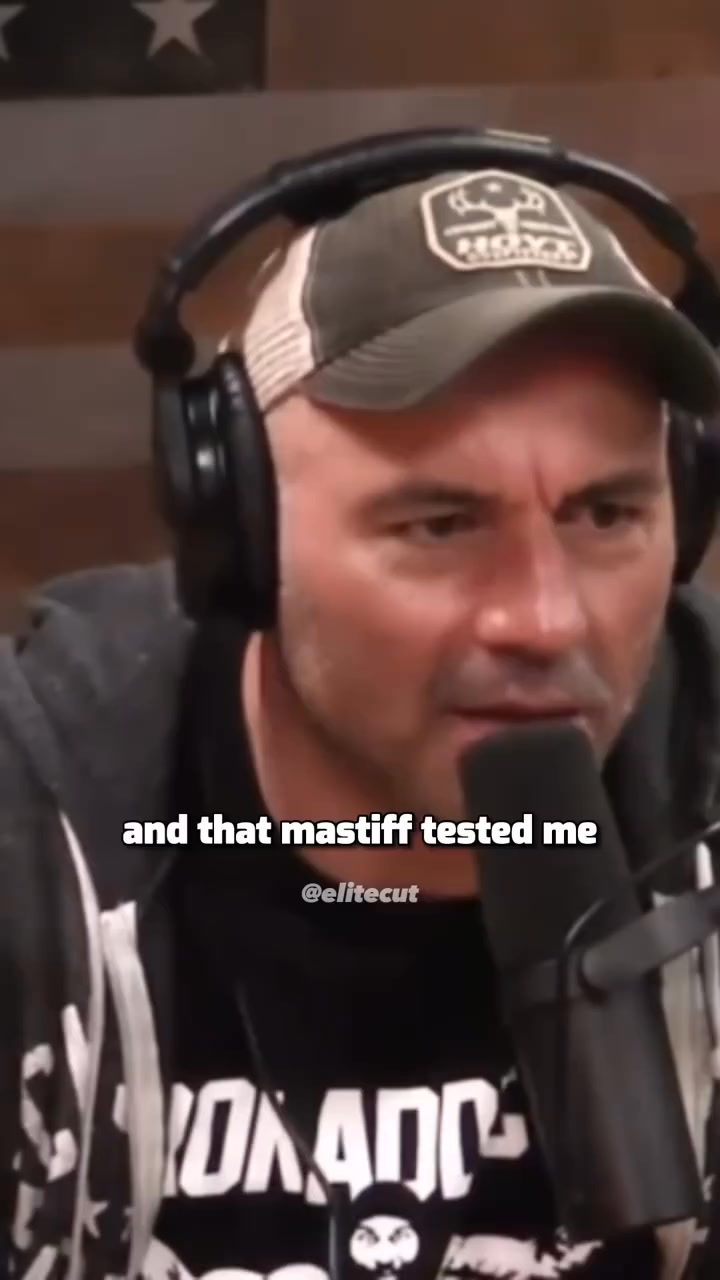 Challenging your dog 🐶 #joerogan #podcast #jreclips #alpha #mastiff ...