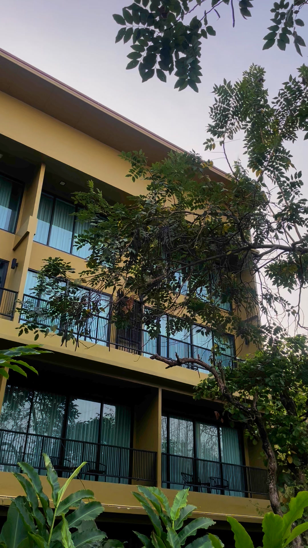T-REX BURIRAM BOUTIQUE HOTEL | Changwat Buri Ram