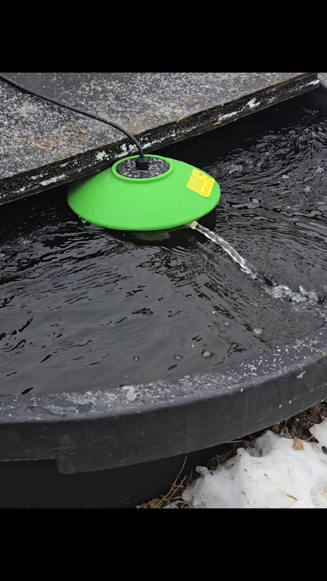 We have a new toy! This Water Rippler has given us so much peace of ...