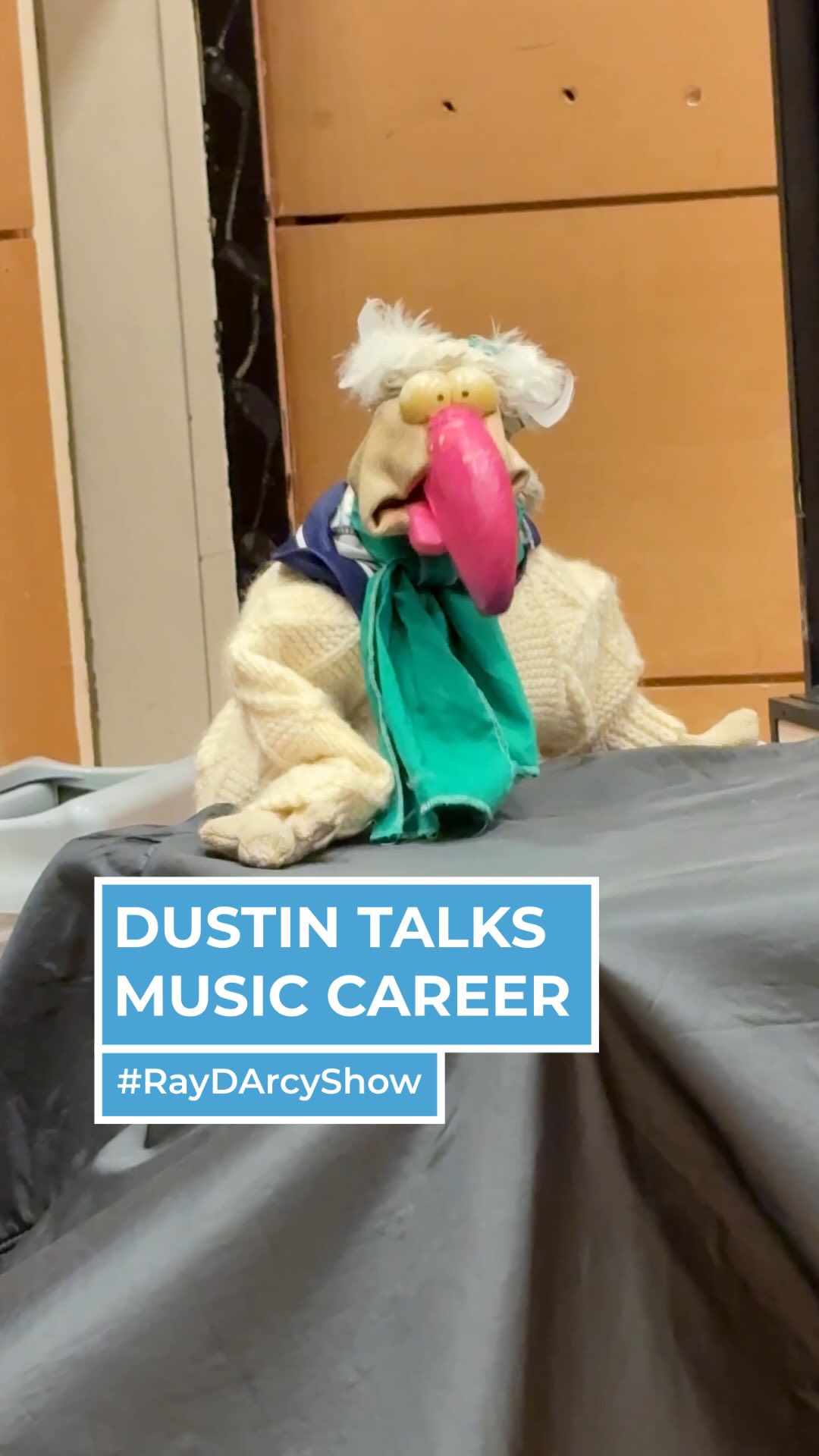 A multifaceted turkey 🤌 Dustin the 🦃 joined #RayDarcyShow for Seisiún ...
