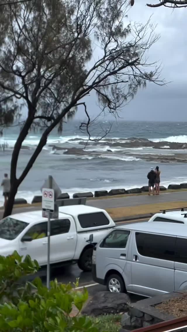 Shark fight 🦈💪🏾🦈 at snapper rocks. | Trapman Australia