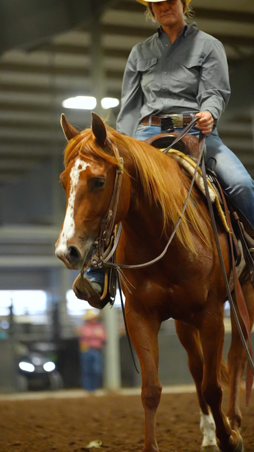 𝐇𝐈𝐆𝐇 𝐒𝐄𝐋𝐋𝐄𝐑 // $𝟕𝟑,𝟓𝟎𝟎 For the second year in a row Wilson Cattle Co ...
