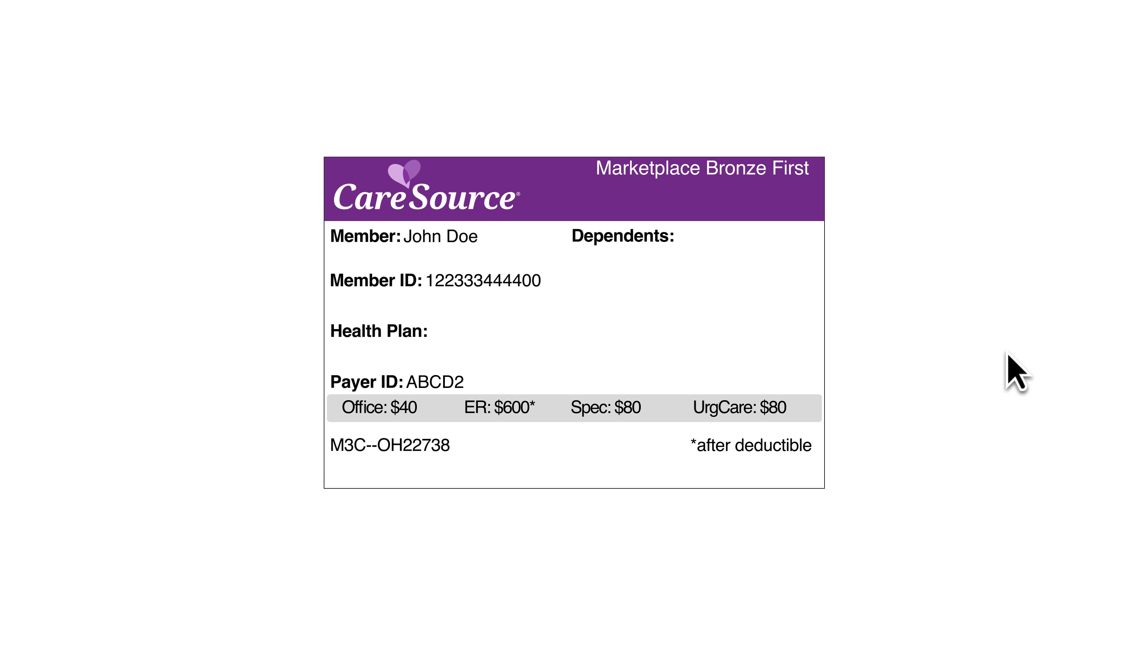 View your member ID card by logging in to your My CareSource account ...
