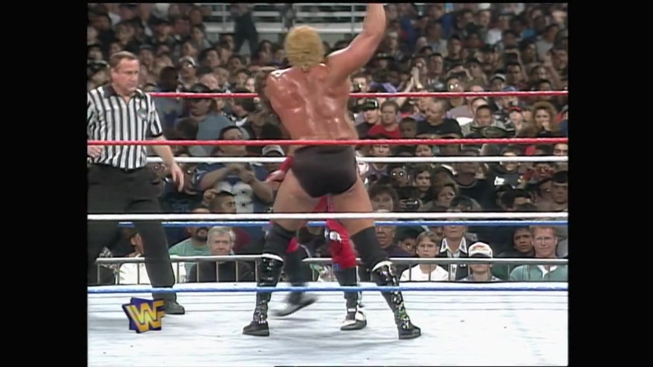 Royal Rumble 1997 - Pscho Sid (c) vs Shawn Michaels for the WWF ...
