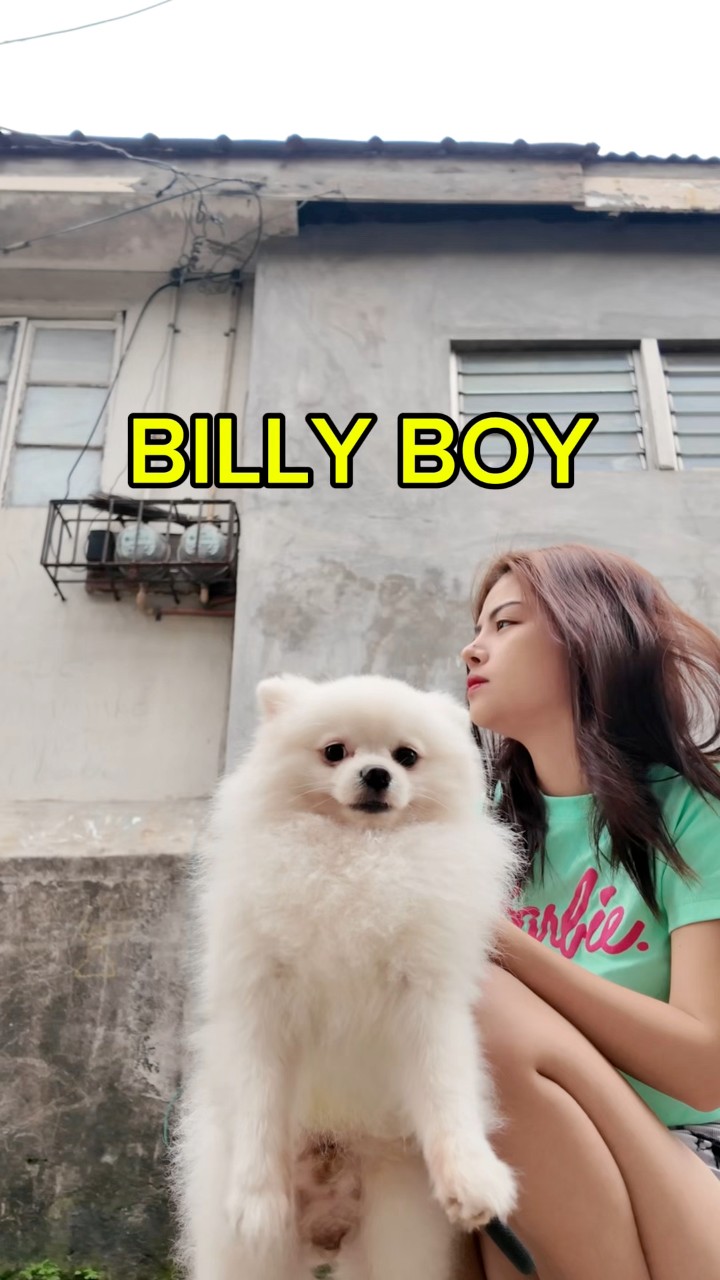 Morning routine namin ni billy boy!😎🐶 | Maybel Generillo | Facebook