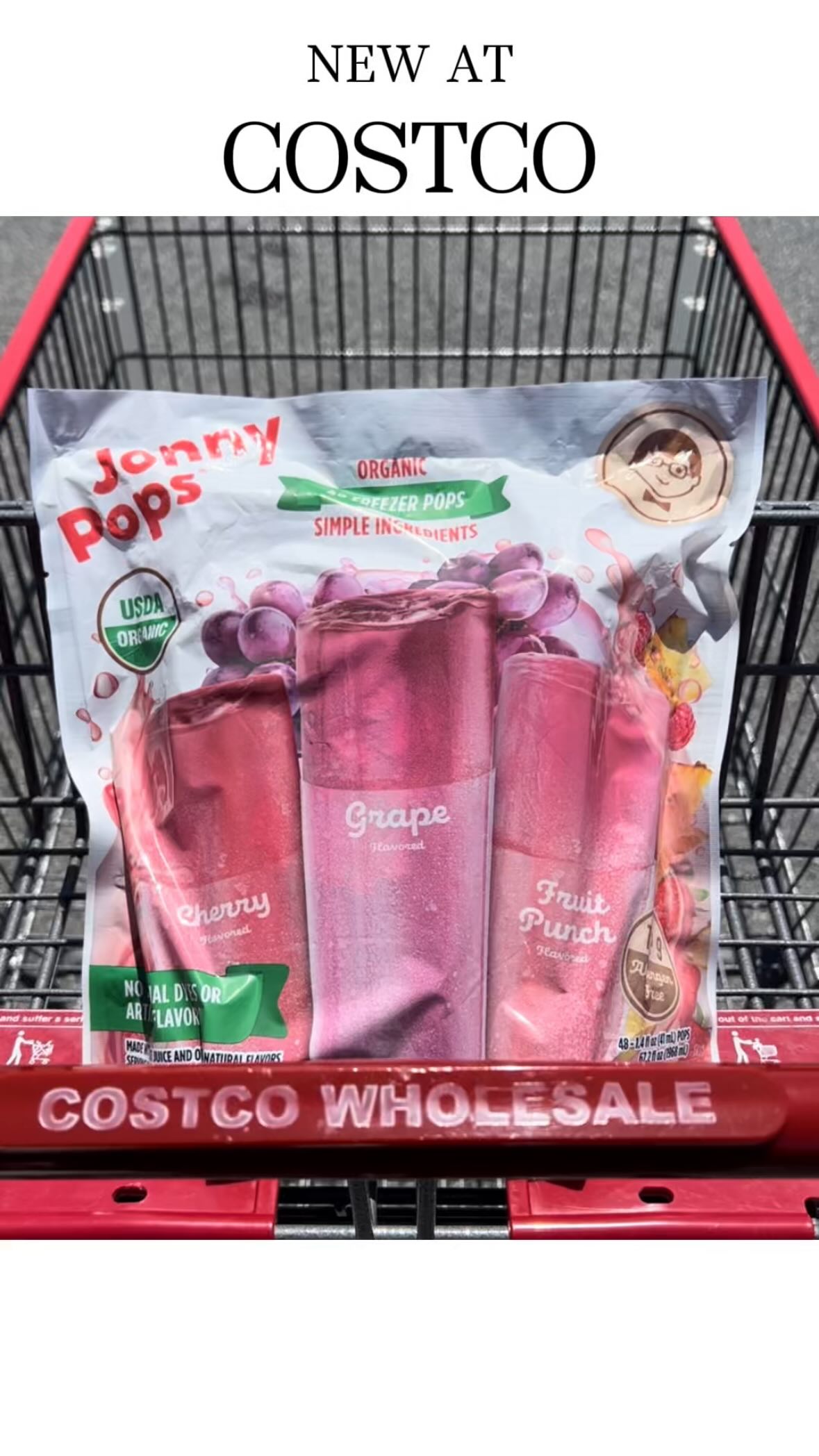 Shake, Freeze, Enjoy! JonnyPops 48ct Organic Freezer Pops are