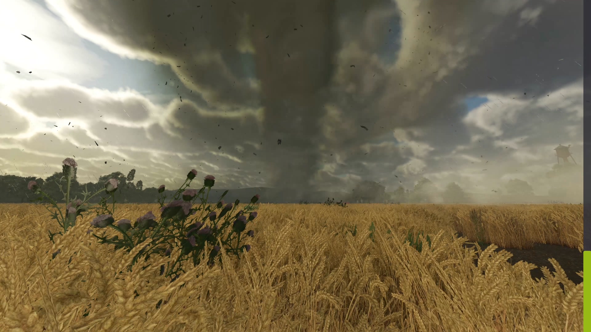 🌩️Storm incoming! In FS25, dynamic weather events like thunderstorms ...
