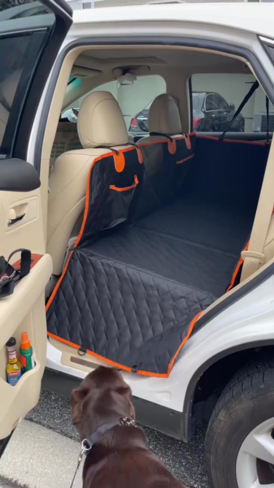 ¿Cansado de los viajes en coche llenos de pelos, suciedad y tu mascota ...