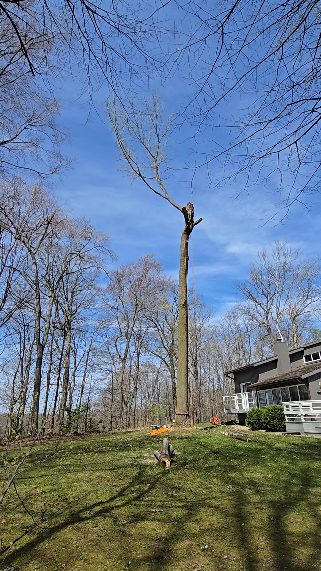 Cardinal Tree Care LLC 7654697855 #treelife #treeremoval #treework # ...