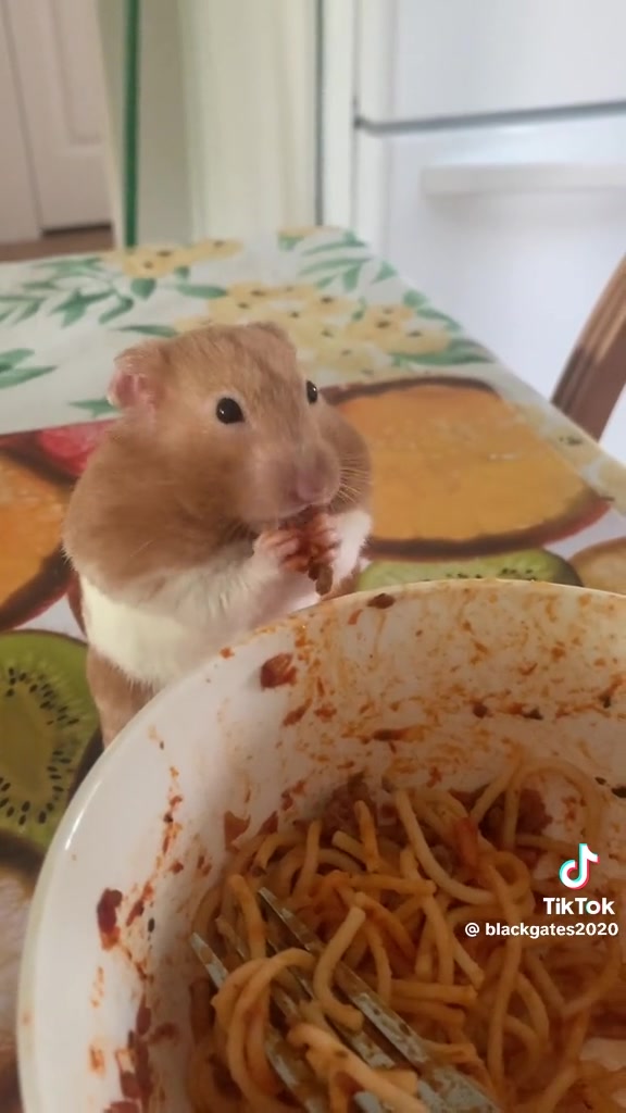 The Rodent Ranch | Barnet