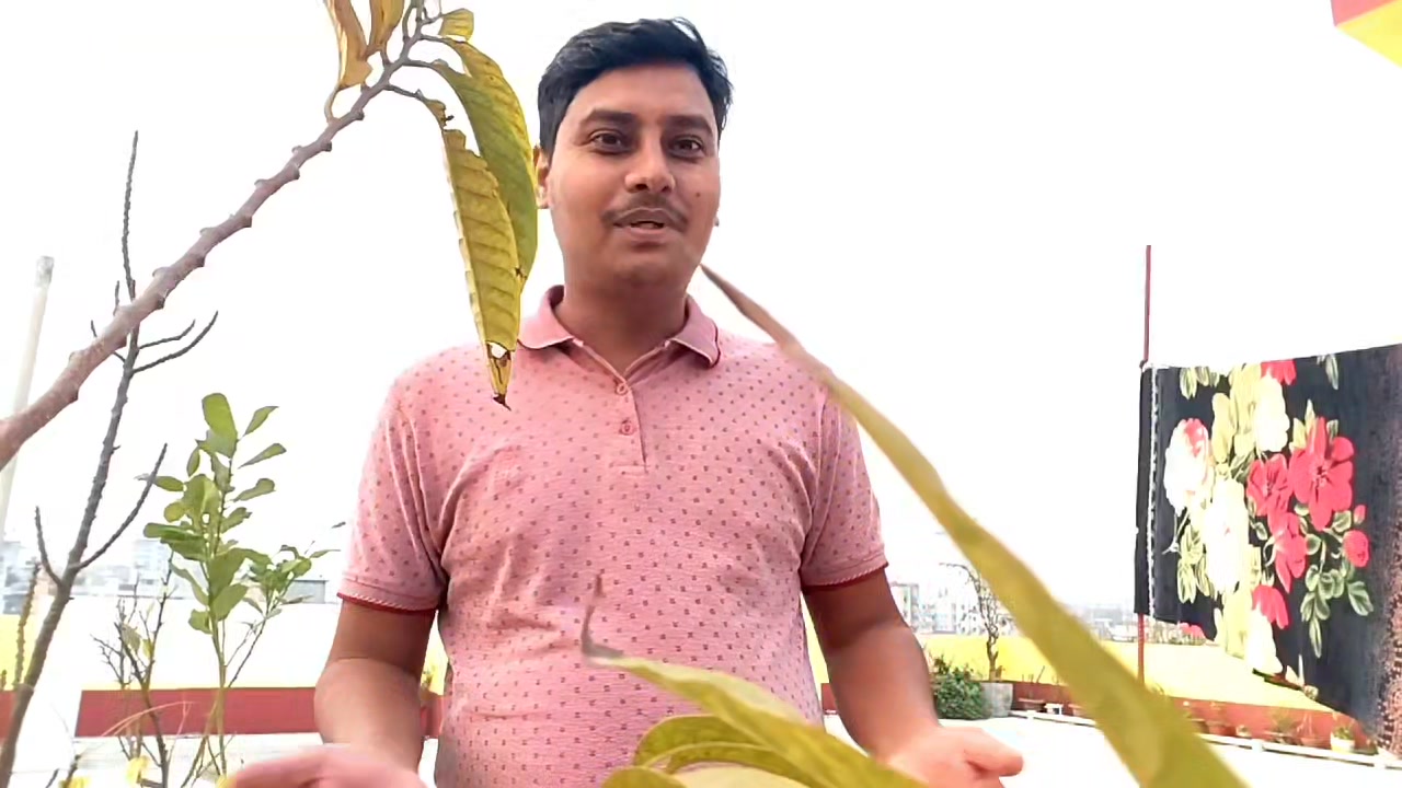 Md. Roni Ali