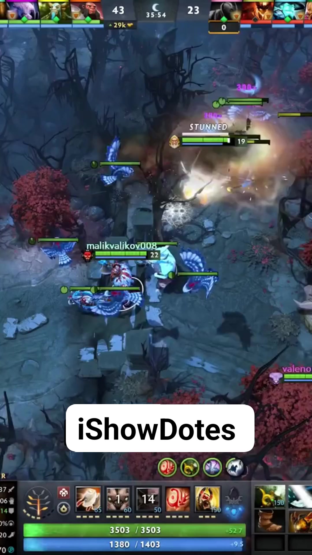 I Show Dotes