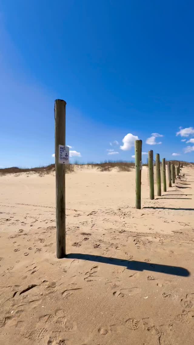 🌾 When you reach the end of the beach in Sandbridge… You’re actually ...
