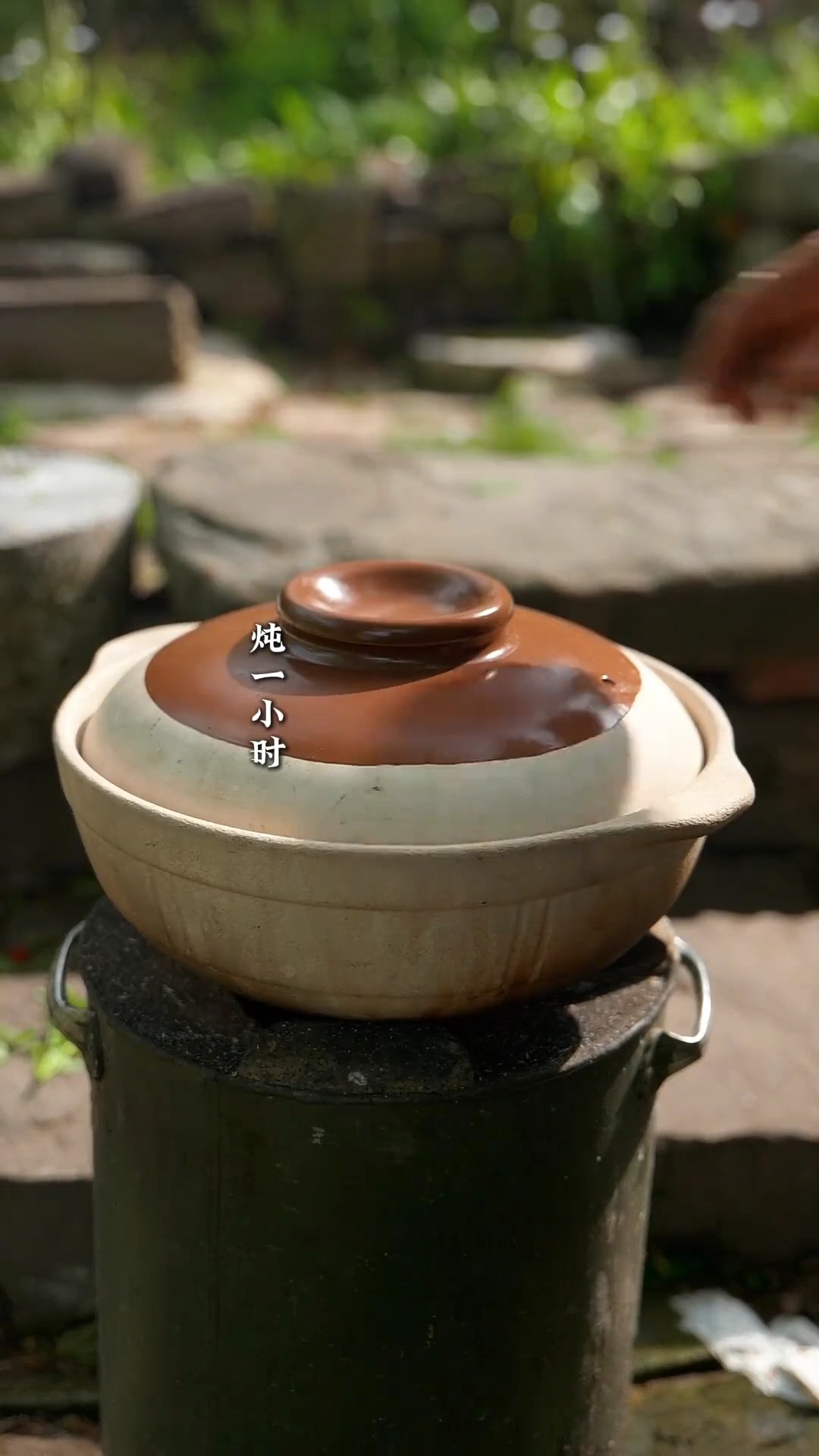 Rural Feast: How to Prepare Wild Cì Lóng Bāo | Rural Roots | Facebook