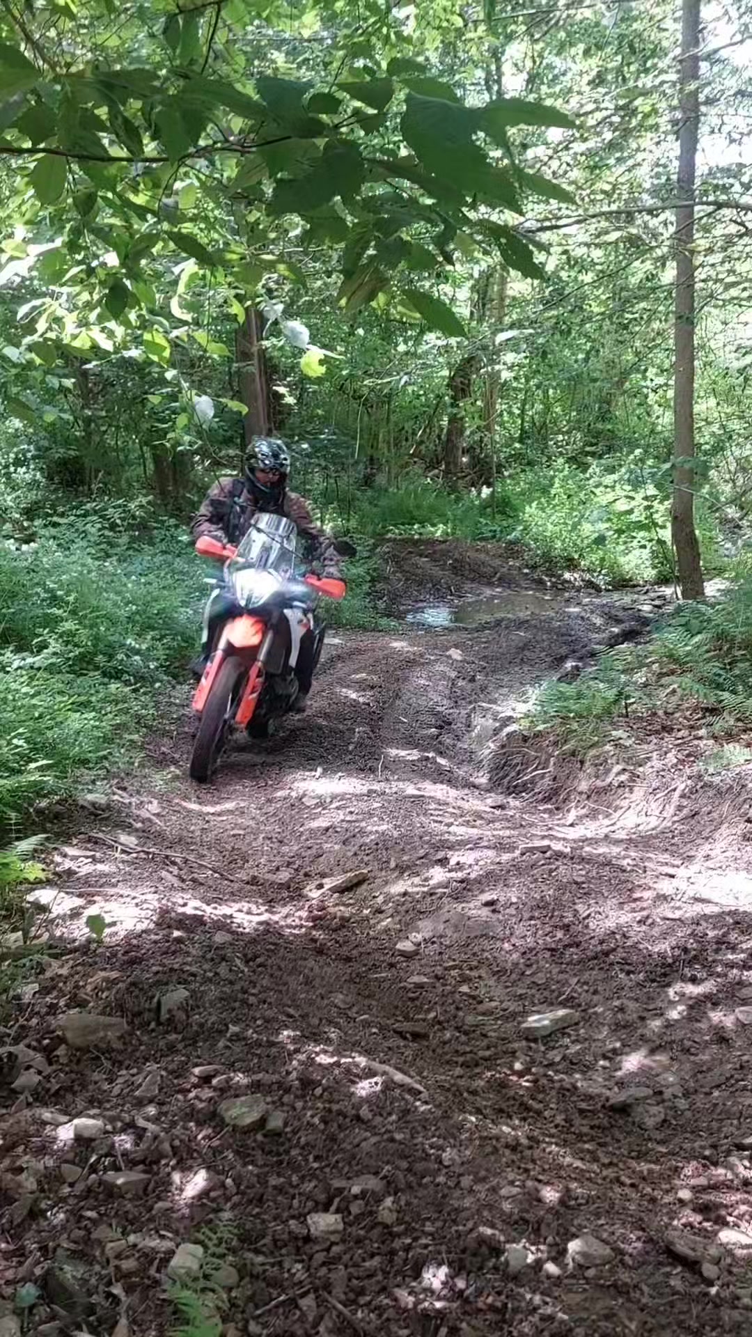 #AppalachianADV - Adventure & Dual Sport Motorbiking LLC Riding Clinics ...