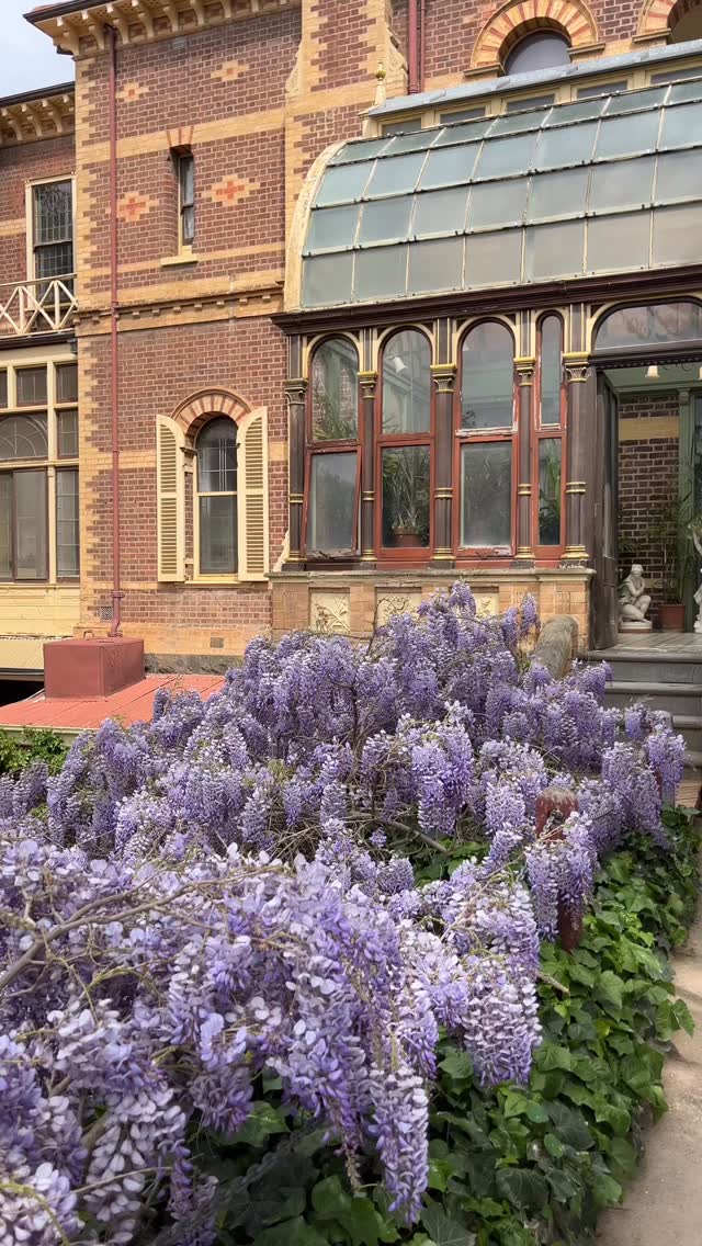 | Rippon Lea Gardeners 🪏🪴🍃 | Facebook