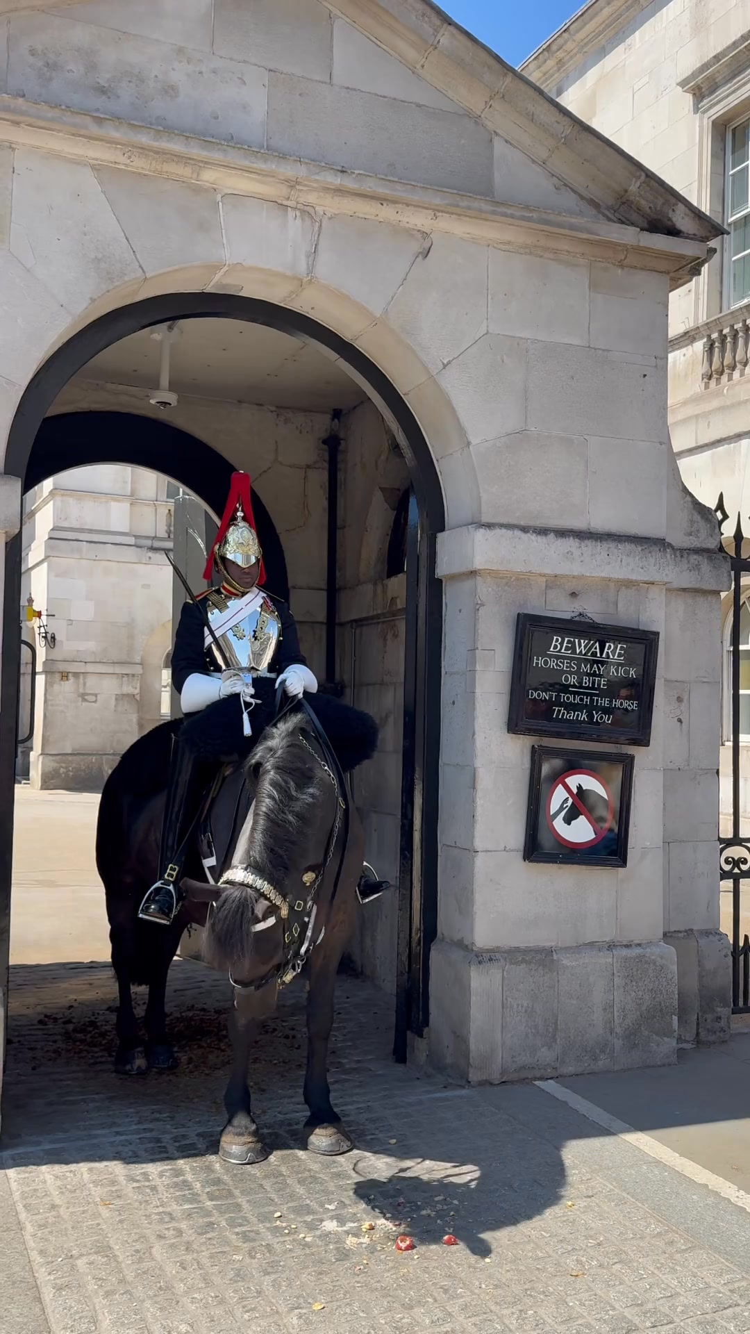 MAGNIFICENT! A TOURIST'S DREAM DAY WITH REGAL HORSES AND UNFORGETTABLE ...
