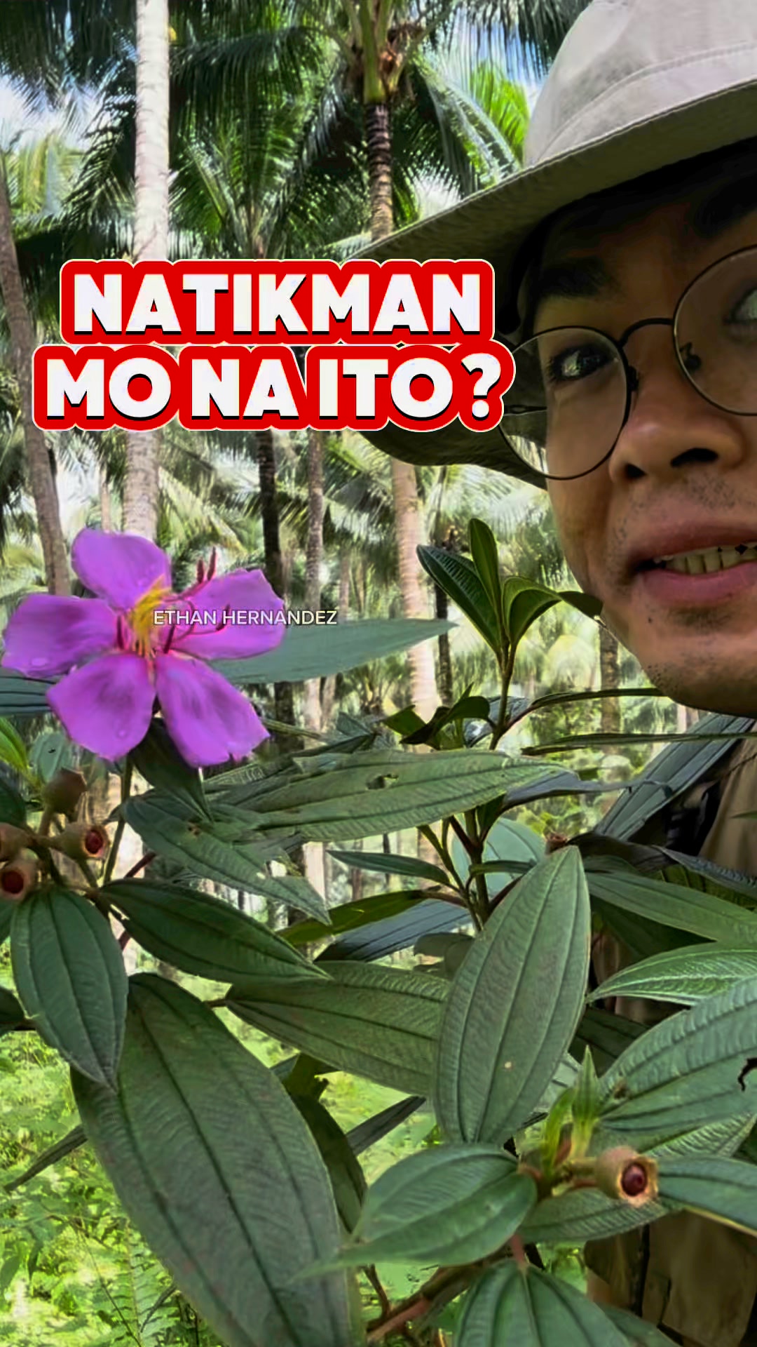 Tungaw- tungaw or malatungaw | Ethan Hernandez | Facebook