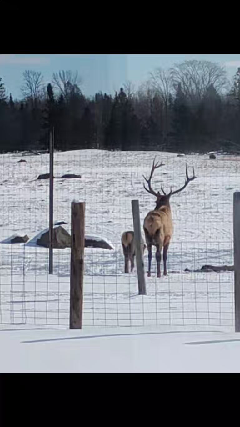Freedom Ranch 906 LLC. | Cornell MI