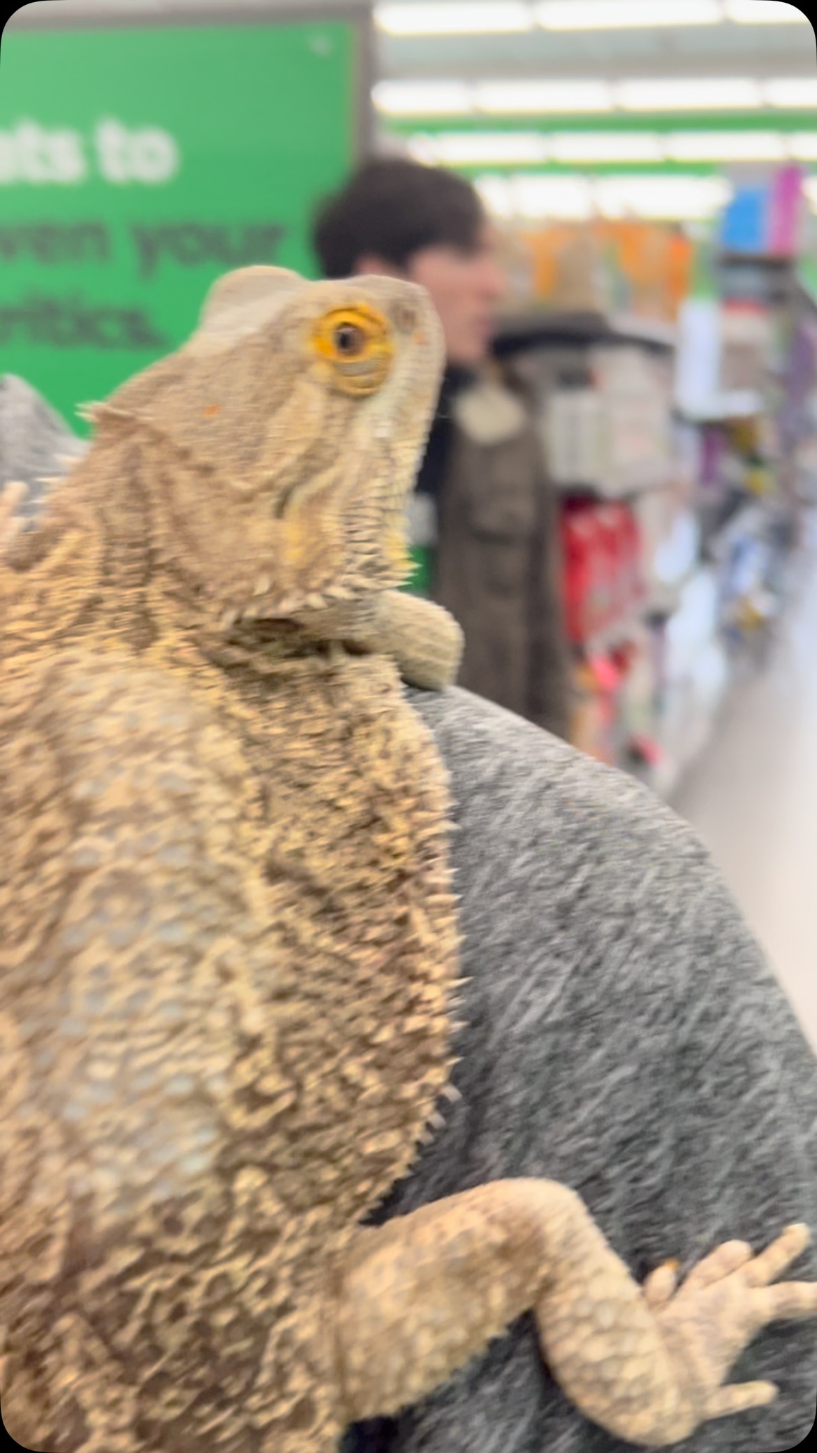 A Shedding Chance Reptile Rescue
