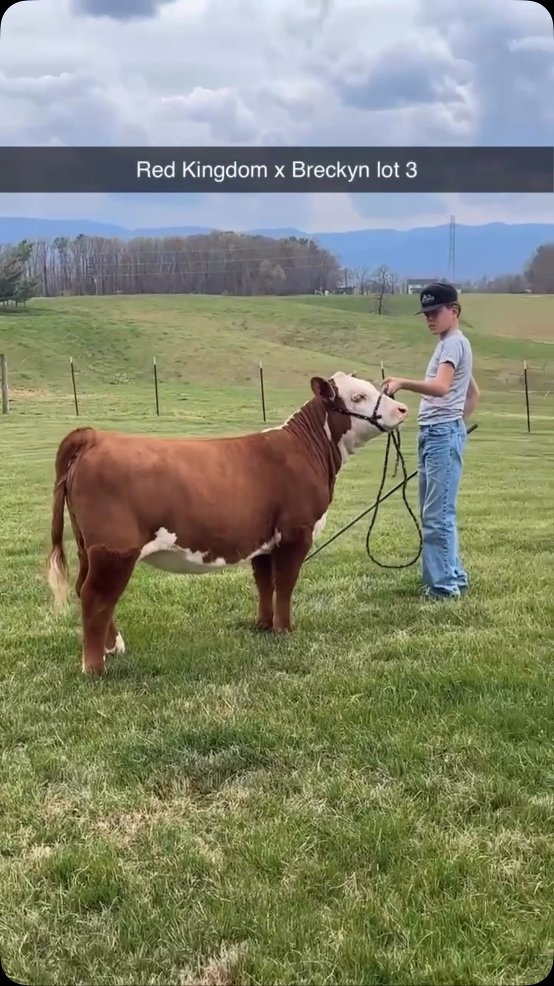 Day Ridge Farm on Reels | Facebook